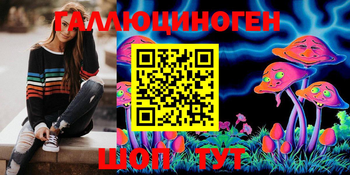 Псилоцибиновые грибы Psilocybine cubensis Богданович