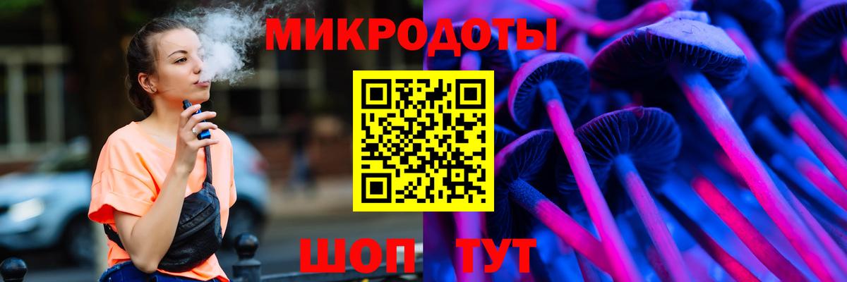 Богданович  Галлюциногенные грибы MAGIC MUSHROOMS  Вход с VPN 