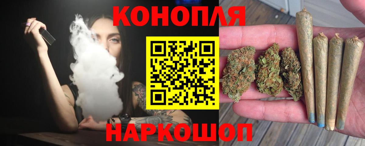 Бошки Шишки MAZAR Богданович